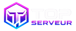Top Serveur